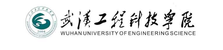 武汉工程科技学院